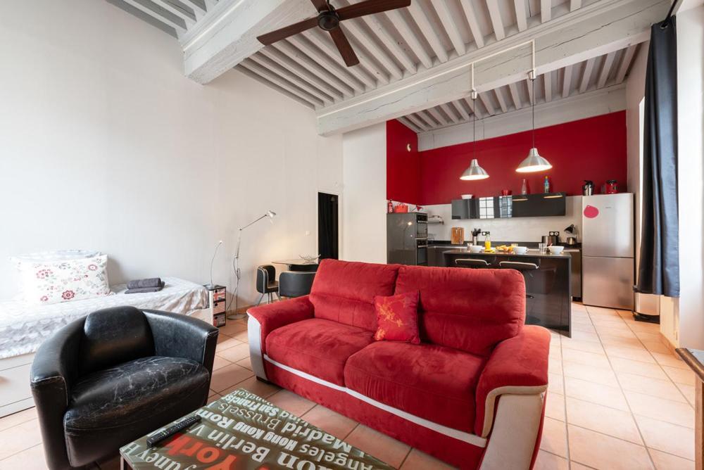 Emplacement N°1 Tres Bel Appartement Spacieux Каркасон Екстериор снимка